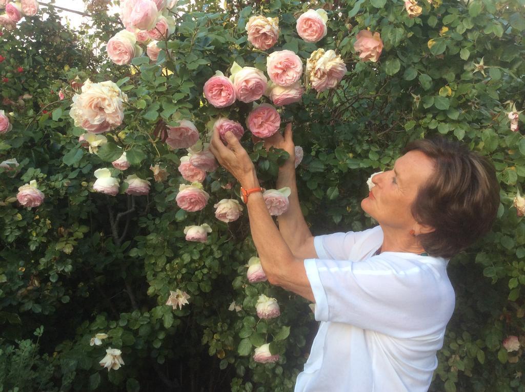 La Villa Rosalie Ventabren エクステリア 写真